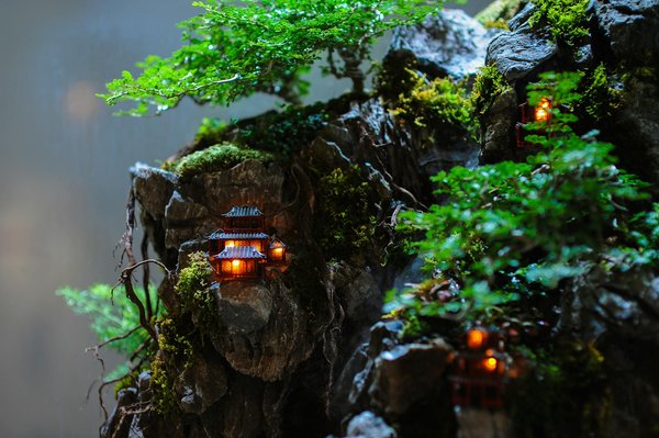 Le Pouvoir Révolutionnaire de la Philharmonie : Promouvoir l'Inclusion Sociale à Travers la Musique